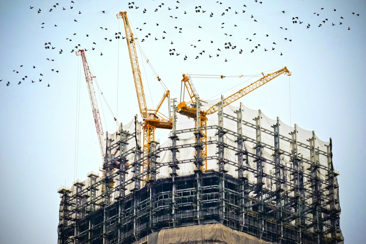 Tower cranes above a high-rise under construction
